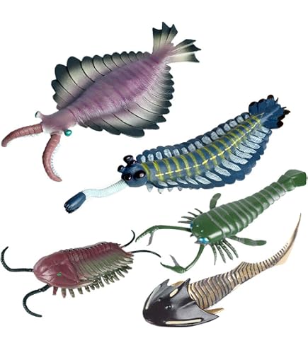 AENIMELY Marrella Trilobit Figur – Prähistorische Meeres-Kreatur Aus Dem Kambrium, Aus Kunststoff, Pädagogisches Spielzeug