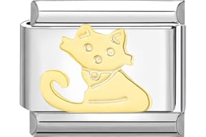 Hoomall Italian Charm Bracelet Armband Charms 10x9mm Silber Titan Stahl Italian Charms DIY Modul Armband Abnehmbare, Personalisierte Geschenke