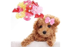 PSSOPP 20Pcs Archi per Capelli per Animali Domestici Accessori per toelettatura Bowknot in Pizzo Multicolor Accessori per Capelli Topknot con Elastici per Gatto Cane Medio di Piccola Taglia