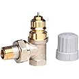 Danfoss 013G0001 Thermostatic Valve Ra-Fn 10, Gray, 3/8"
