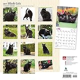 Image de Black Cats 2017 Calendar