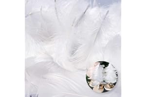 NEW NOAM 800 Pcs White Feathers Crafts Feathers Decorations Feathers, for DIY Dream Catchers Wedding Festival Party Lampshades Decorations