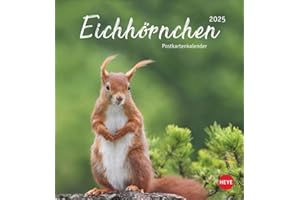 Eichhörnchen Postkartenkalender 2025: Dekorativer Monats-Tischkalender zum Aufstellen oder Aufhängen. Fotokalender voll niedlicher Eichhörnchenbilder, ... und Verschicken. (Postkartenkalender Heye)