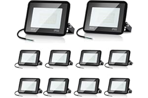 Daromigo Projecteur LED Extérieur 30W - 10 Pièces, 2550lm, 6000K Blanc Froid IP65 Étanche pour Cour, Garage, Couloir