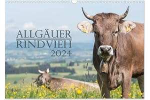 JULIANE WANDEL Allgäuer Rindvieh 2024 (Wandkalender 2024 DIN A3 quer), CALVENDO Monatskalender