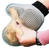 Imita el toque de la mano para un masaje, tu mascota va a disfrutar de ella