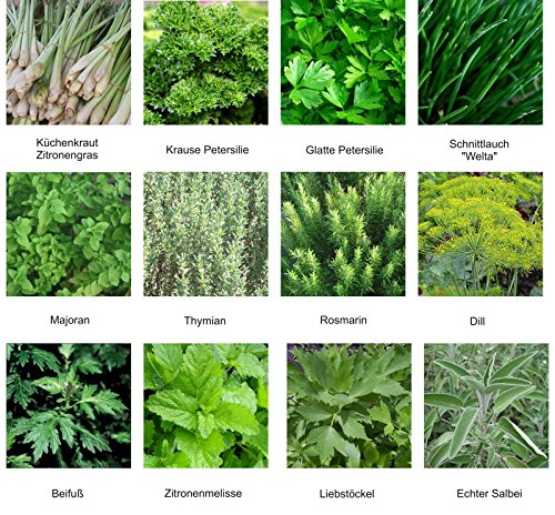 Samen - Saatgutsortiment - Set - Mischung - Mix - Kräutergarten 1 - 12 Sorten - ca. 1.000 Samen