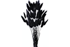 HDKAJL 50 Piezas de Hierba de Pampa, Ramo de Pampa Natural, Ramo de Flores Secas, Sin Olor, Nunca se Marchita, para Decoración del Hogar, Arreglos de Fiesta, Accesorios de Boda (Blanco)