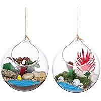 Ipetboom Hängende Glaskugeln - Dekorative Glasbälle Für Garten & Wohnung Bunte Farben