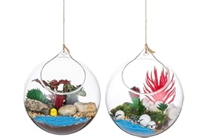 ‎GLASSEAM Hanging Glass Ball Vase Glass Ball 2 Pieces Large Opening Succulent Hanging Terrarium Glass Flower Air Planter Container 4.72 Inches for Home Party Wedding Garden DIY Design