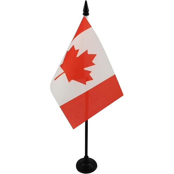 Magnifique Drapeau Canadien Fait De Véritables Feuilles D'érable Sur Un