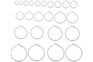 DHWEKU 12 Paia Cerchio Orecchini Piercing Orecchio Cerchi in Acciaio Inox Anelli per Donne Ragazze, 12 Taglie, 20-75 mm
