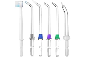 Yaowanguan 6 Piezas Juego de Boquillas de Repuesto para Waterpik WP-100/WP-250/WP-450/WP-560/WP-660/WP-811/WP-861W/WP-900/WP-940/WP-950(Cepillo,Gris Placa Dental,Ortodoncia,Clásica,Bolsillo)