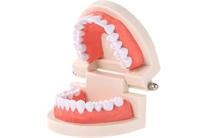FGXY Modello di Denti, Modello Standard Dentale, Modello Dentista, Modello Didattico Dentale, Modello Dentale Standard dei Denti dei Bambini di Dimostrazione dei Denti che Spazzolano il Modello