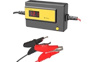 CPTDCL Mantenedor automático de desulfatador de batería para revivir y regenerar la batería de plomo ácido GEL AGM SLA, 12-72 V, 400 AH