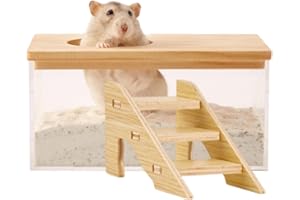 XZSKD 1 Pcs Hamster Sand Bath, Hamster Bath, Sand Bath For Syrian Hamster, Hamster Bath Container With Ladder, Pet Supplies, For Small Animal Toilet Bathtub Hamster Dig Box Shower And Digging Room Litter