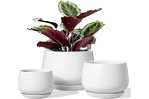 LE TAUCI Pot de Fleurs en Céramique, 11+13+17 cm, Lot de 3, Pot avec Trou de Drainage et Soucoupe, Pot d’Intérieur avec Tapis en Maille, Cadeau pour la Fête des Mères, Blanc
