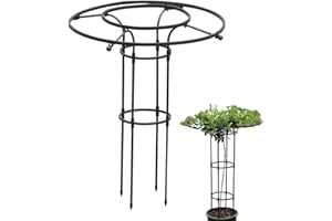 Dirfuny Jardin, Tuteur Plante Grimpante, Jardin Tuteurs Plantes, Treillis Fleur Soutien Arche Jardin en Forme Tour pour Plantes Grimpantes
