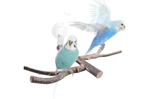 JINGHANGER Vogelstange mit Saugnapf, Fenster, Wand, Bad, Auto, Outdoor, Reise, Sitzstange für kleine und mittelgroße Vögel, Papageien, Sittiche, Nymphensittiche, Sittiche, Sittiche, Sittiche, Sittiche, Sittiche,