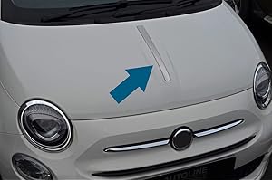 ALVM PARTS & ACCESSORIES Chrom-Motorhaubenleiste, für 500 (ab 2007)