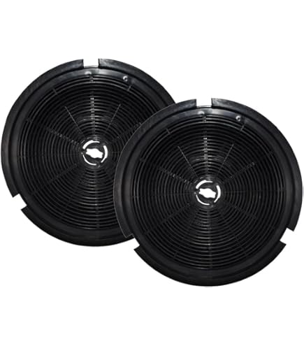 2 actieve koolfilters voor Dehflex AK01 Bomann KF 560 KF560, 210 mm koolstoffilter voor afzuigkappen Bosch 00353121/353121 Electrolux 9029793719 Whirlpool B210