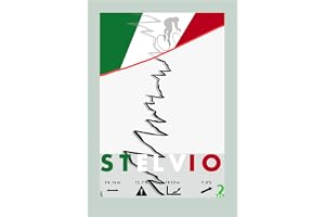 CYCLING POSTER, WHYTHERE? PASSO DELLO STELVIO, HOME DESIGN: Vintage stil