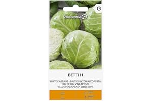 ŽALIA STOTELĖ Zalia stotele | BETTI H COL BLANCA Semillas | Semillas de hortalizas | Semillas repollo | Semillas de plantas | Semillas de jardín | 1 paquete
