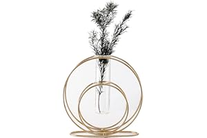 Smavles Florero de Vidrio con Estante De Metal Geométrico,Florero Cristal Tubo de Ensayo Jarrón Decorativo Moderno Hidropónico con Soporte de Metal, para Decoración de Hogar, Boda, Oficina