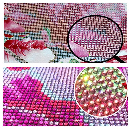 BZLine® 5D Diamant Stickerei Strass eingefügt DIY Malerei Kreuzstich Strass Raum Dekoration, 30X30cm (A) - 8