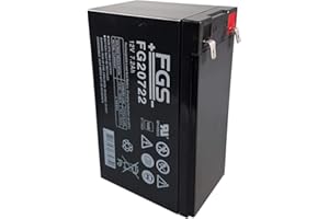 FIAMM Batteria ricaricabile da cambio per USV APC Back-UPS ES 700