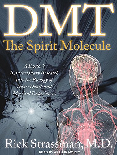 DMT: The Spirit Molecule: A Doctor's Revolutionary Research Into the Biology of Near-Death and Mystical Experiences