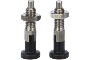 GANTER NORMELEMENTE Ganter Norm elementi | Rast Bulloni – GN 717 | perno diametro 6 mm, acciaio inox, 2 pezzi, argento, GN 717-6-M10-CK-NI