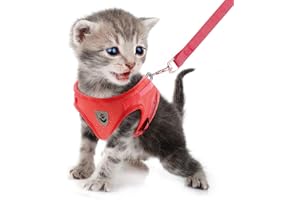 FEimaX Small Cat Dog Harness and Leash Set, No Pull Adjustable Pet Harness with Reflective Strips, Escape Proof Puppy Kitten Vest for Extra Small Dogs Cats