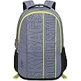 Skybags Sky bags Graf Plus 02 22L 48Cm Laptop Backpack Grey