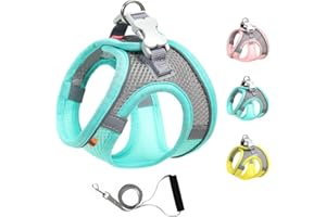 Mitili Arnes Perro Antitirones con Correa, Ajustable Transpirable Reflectantes Cómodo Chalecos Perro, Arnés Juego de Arnés y Correa para Perros y Gatos de Pequeño y Mediano (XS, Verde Menta)