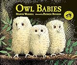Owl Babies by 