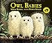 Owl Babies by 