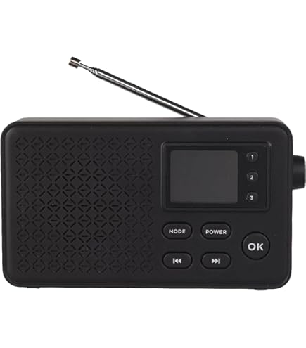 DAB Radio/ Denver DAB-42 (Neu (gemäss Beschreibung)) in Niederbipp für DAB Radio/ Denver DAB-42 (Neu (gemäss Beschreibung)) in Niederbipp für