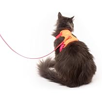 LucyBalu® Explorer kattentuigje met riem I Zwart M/L LucyBalu® Explorer kattentuigje met riem I Zwart M/L