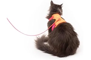 LucyBalu® Explorer Harnais pour chat avec laisse | Harnais anti-éclatement pour chat avec compartiment AirTag | Harnais de poitrine pour chat avec laisse pour chat | Berry orange XS/S
