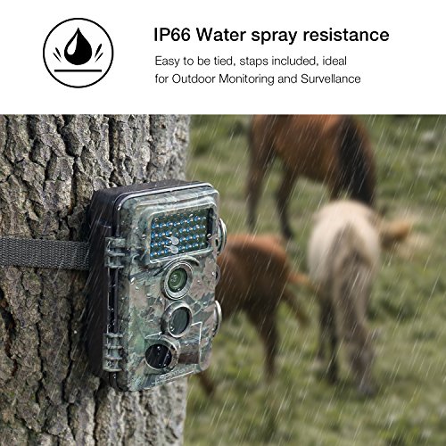 En Venta APEMAN Cámara de Caza 12MP 1080P Lente Gran Angular de
130°Sensor de PIR de 120° LED Velocidad de Disparo de 0.2 Segundos
Visión Nocturna 65pies/20m Resistencia al Agua IP66 Revisión