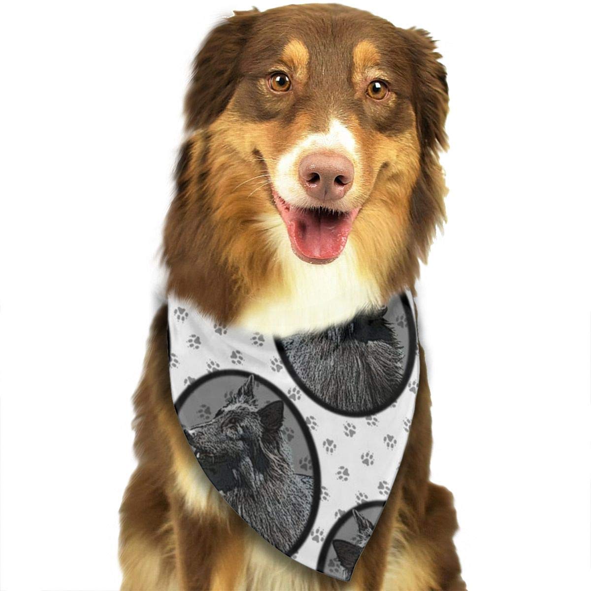 BeautyDesign Dog Bandana Pet Scarf Belgian Groenendael Sheepdog Framed