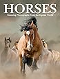 Horses (Animals): Stunning Photographs from the Equine World