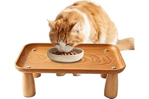 Générique Matbord katt upphöjd bricka mat och vatten djur | Upphöjd kattstöd för hemmåltider inomhus och utomhus skydd ryggra