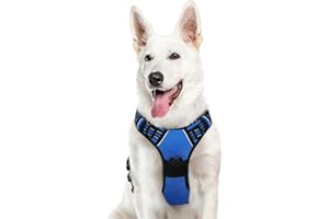 Eagloo Pettorina Cane Taglia Grande, Pettorina ad h, Pettorina Antifuga Cane, Pettorina Anti Tiro per Cani con Doppio Gancio, Imbracatura Robusto e Regolabile per Addestramento Passeggiate, XL, Blu