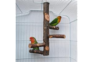JOODYYOO Perchoir pour Cage de Perroquet Jouets pour Perruche Perchoir en Bois Naturel pour 3 ou 4 Petits ou Moyens, Cacatoès, Conure, Perruche, Oiseau d'amour, Pinson