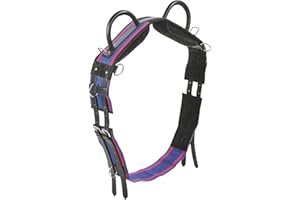 Busse Surfaix Double