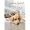 Piccadilly Greetings Someone Special Birthday Card***Golden Labrador Retriever Dog with CAT***9 X 6 INCHES***1AD7**,brown|white|orange|beige