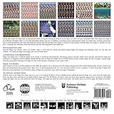 Image de Magic Eye 2016 Wall Calendar
