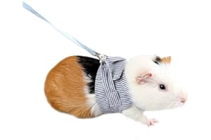 ASOCEA Guinea Pigs Rabbit Adjustable Soft Cotton Harness and Lead Set for Rats Iguana Hamster Ferrets Small Animal